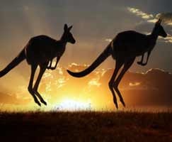 Travel To Australia